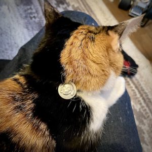 2026:"SS" Skull Hair Gum